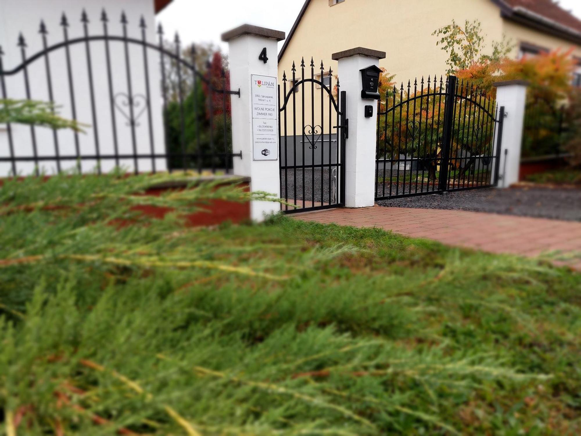 Tulipan Vendeghaz Apartment Sarospatak Bagian luar foto