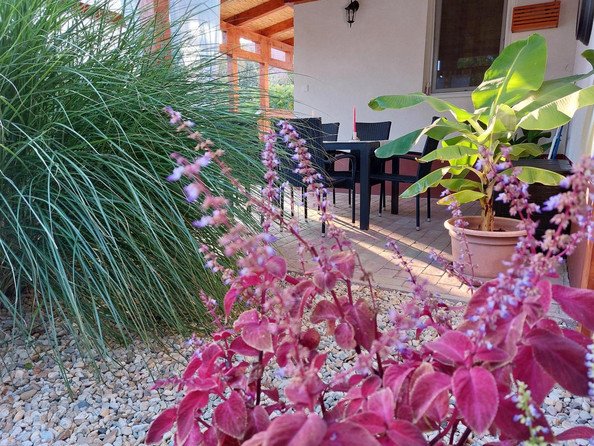 Tulipan Vendeghaz Apartment Sarospatak Bagian luar foto