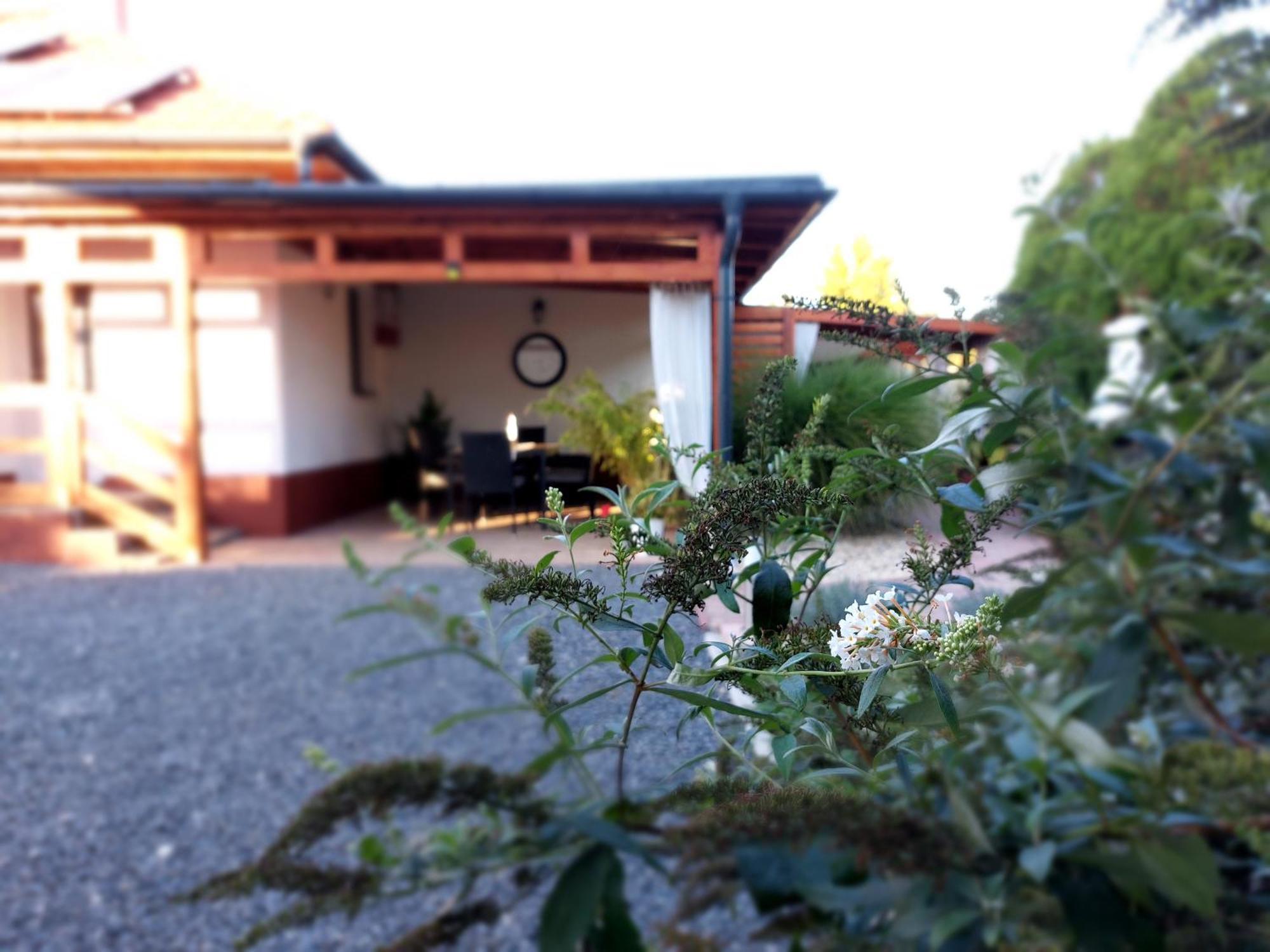 Tulipan Vendeghaz Apartment Sarospatak Bagian luar foto
