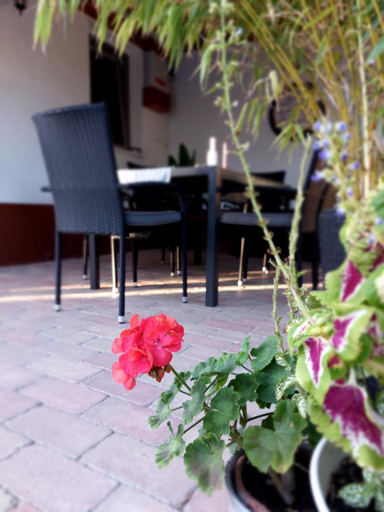 Tulipan Vendeghaz Apartment Sarospatak Bagian luar foto